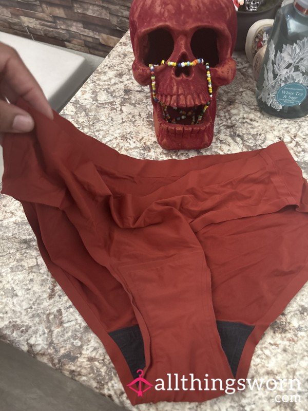 Gently Worn Soft Nylon Lycra Monthly Protection Panties