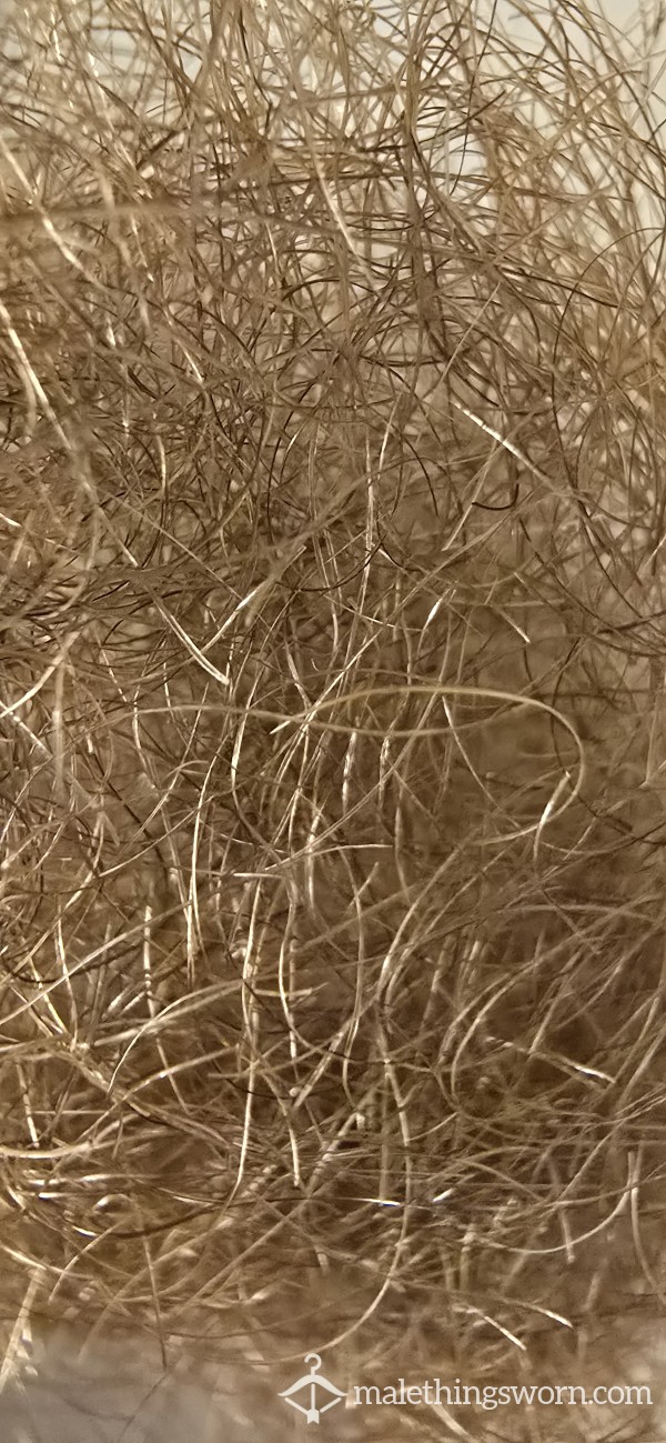 Ginger Pubes.