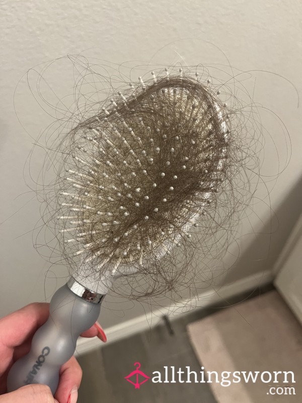✨Goddess✨ Brush Hair