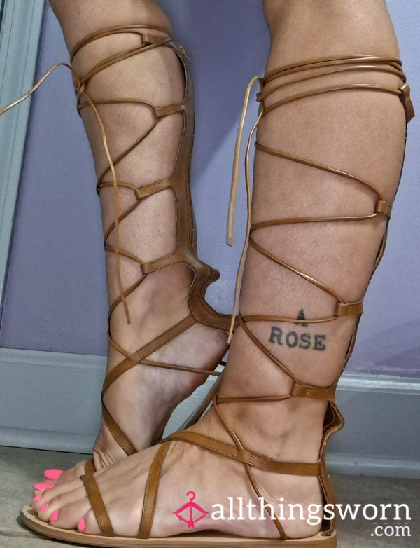 Goddess Knee High Gladiator Sandals