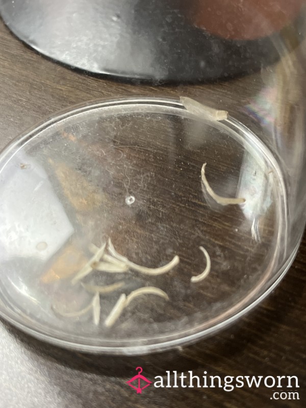 Goddess Toe Nail Clippings