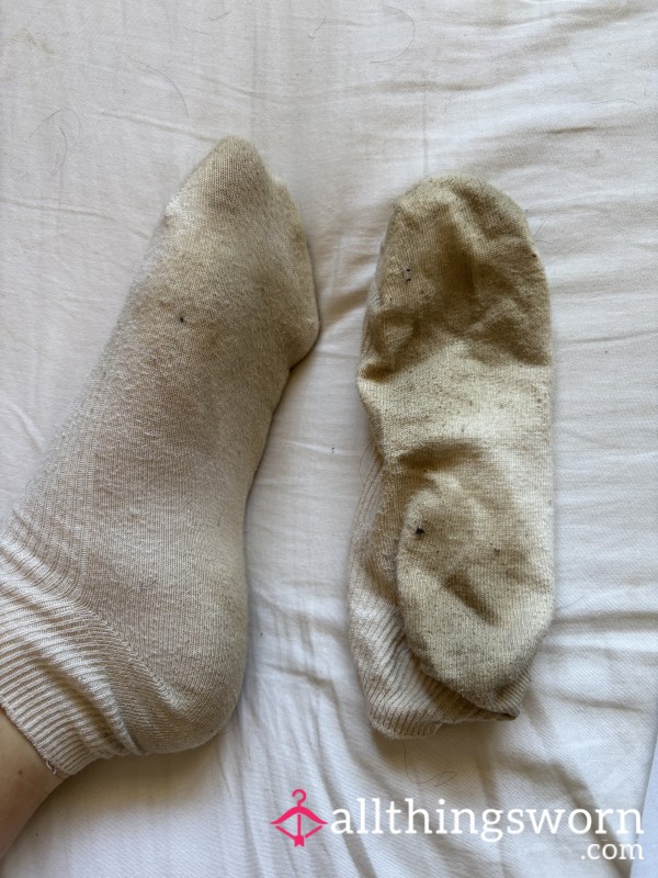 Goddess’s Dirty Socks 👅