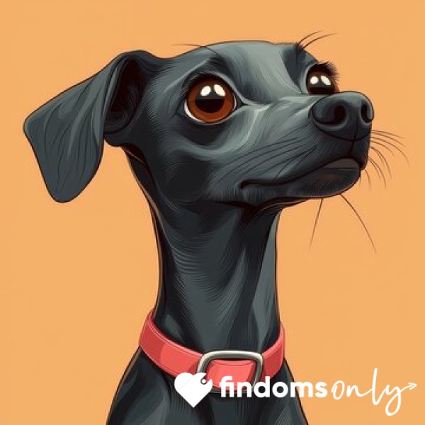 Goddess’s Pet Fund