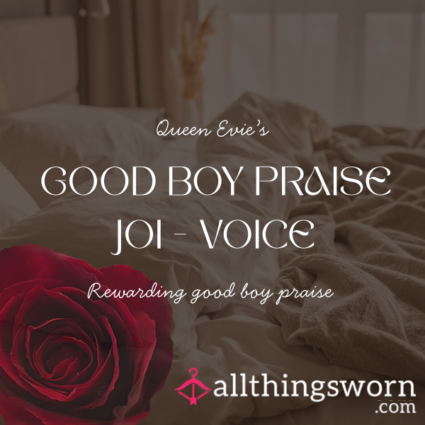Good Boy Praise Voice JOI