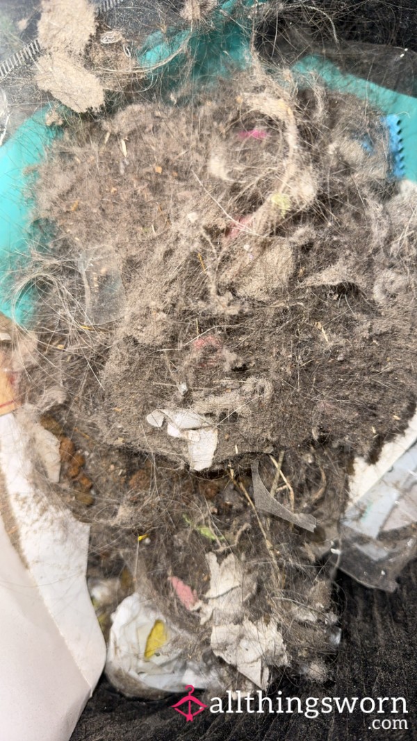 Goth Girl’s Vacuum Cleaner Dust- NOT For The Weak