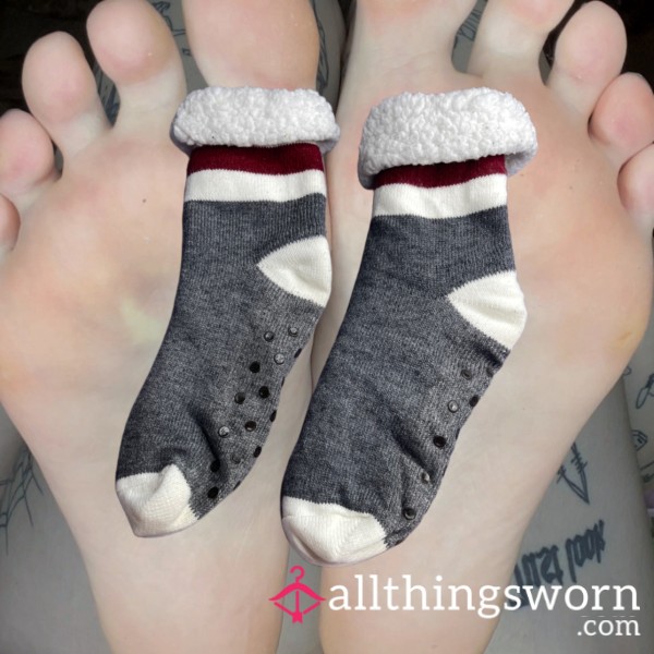 ꕤ GRAY READING SOCKS ꕤ