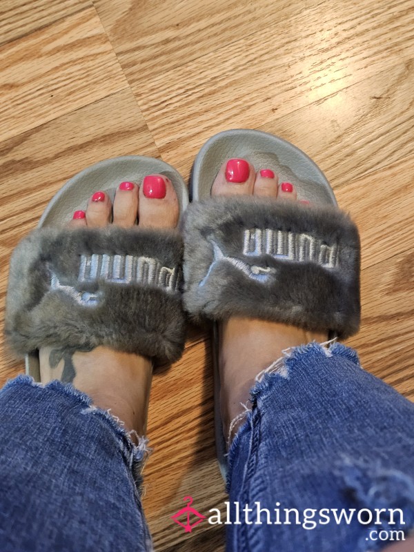 Grayish Furry Well Loved Slides