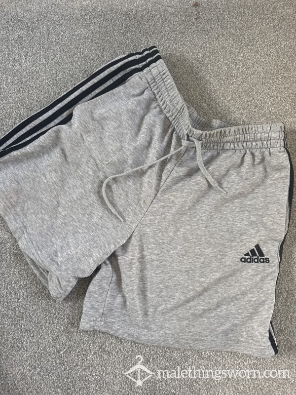 Grey Adidas Shorts