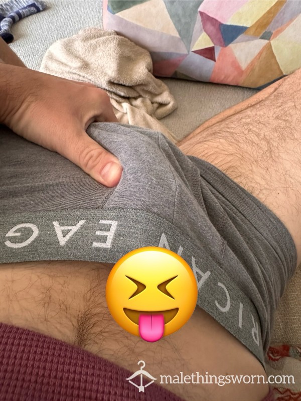 Grey American Eagle’s