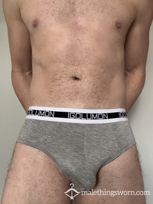Grey Briefs (SOLD)