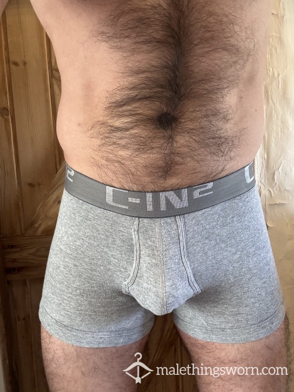 Grey C-IN2 Boxer Briefs