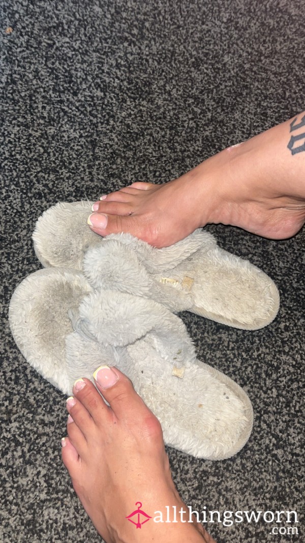 Grey Fluffys😍😈