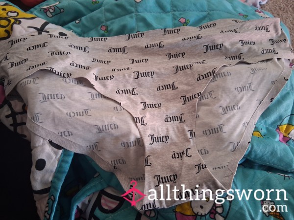 Grey Nylon JC Panties.