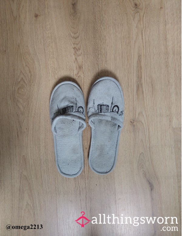 Grey Slippers With Vienna's Skyline