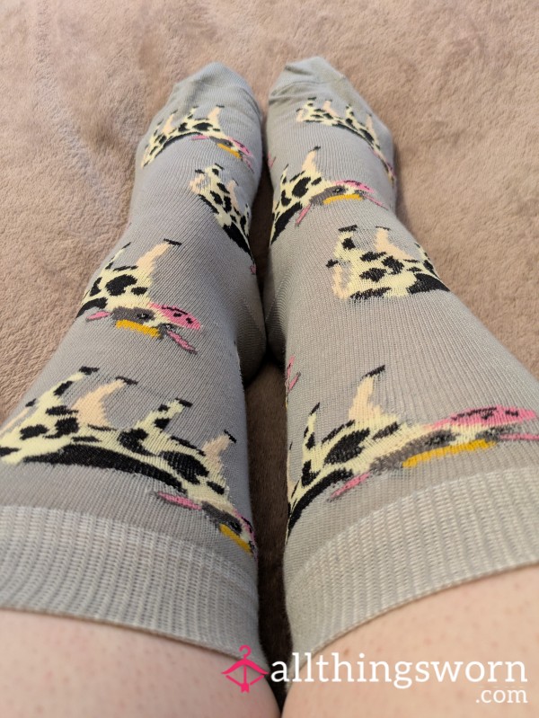 Grey Socks With Cow Print