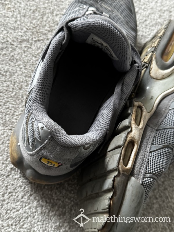 SOLD 💦 Grey TNs