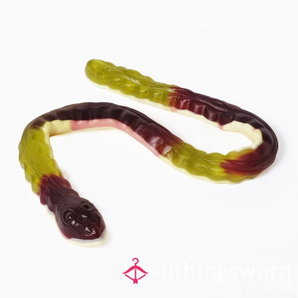 Gummy Treat 🐍