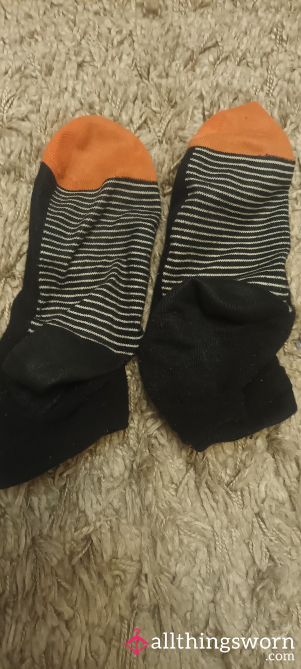 Gym And Health Suite Socks - 24 Hours