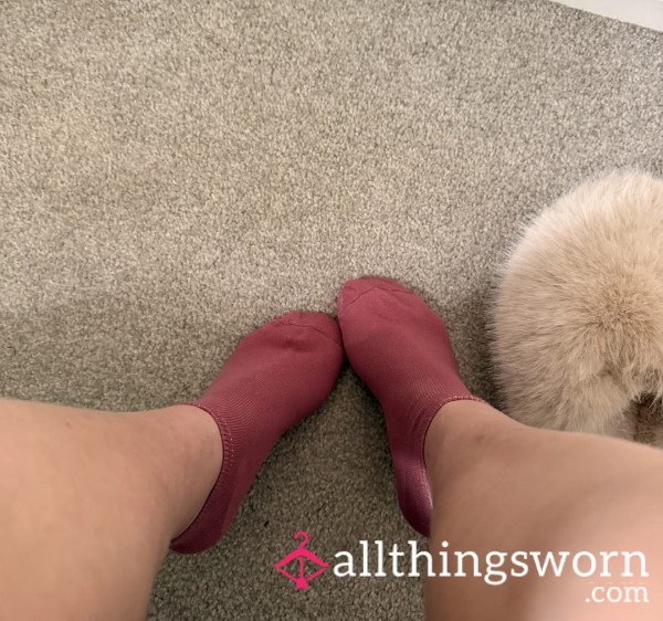 Gym Socks 🏋️‍♀️🧀