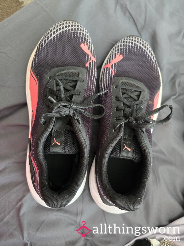 Gym Trainers