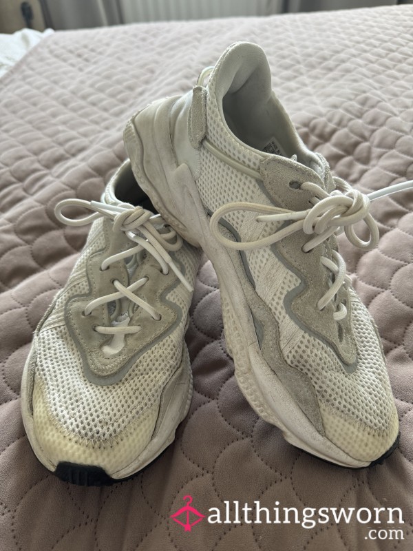 Gym Trainers 6