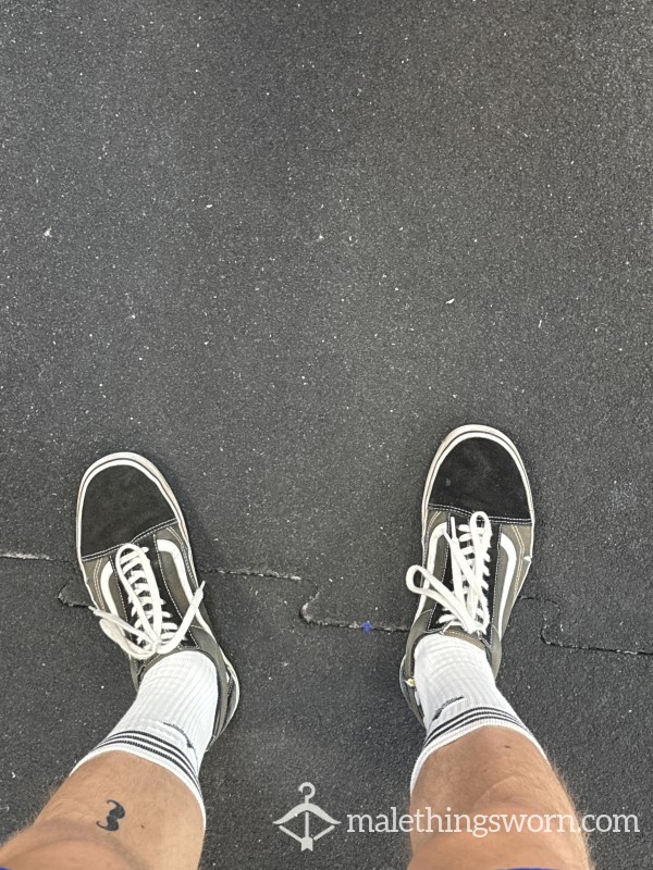 Gym Vans