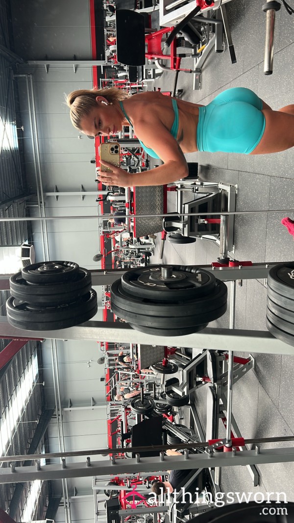 Gym Workout Videos