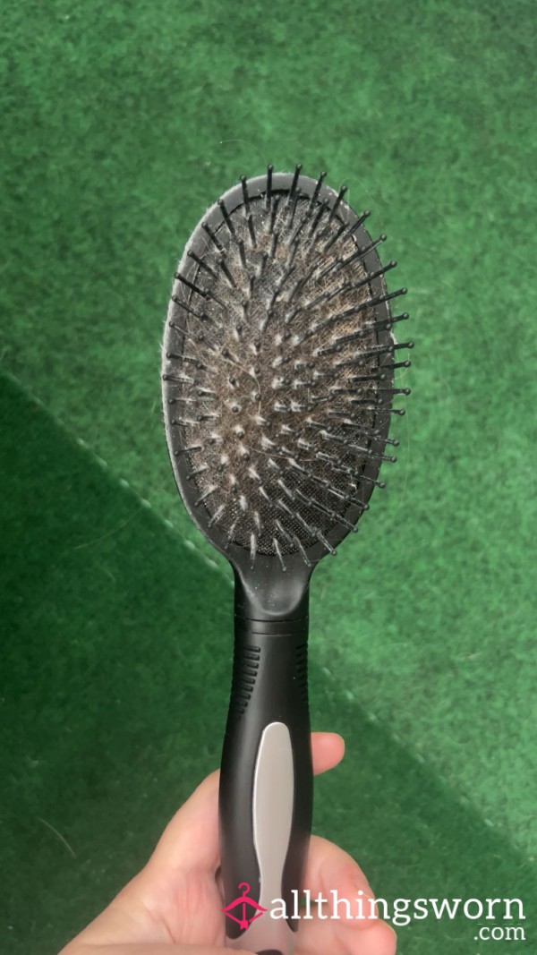 Hair Brush