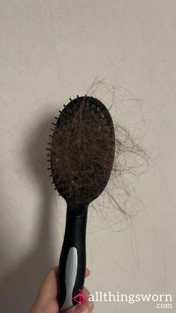 Hair Brush