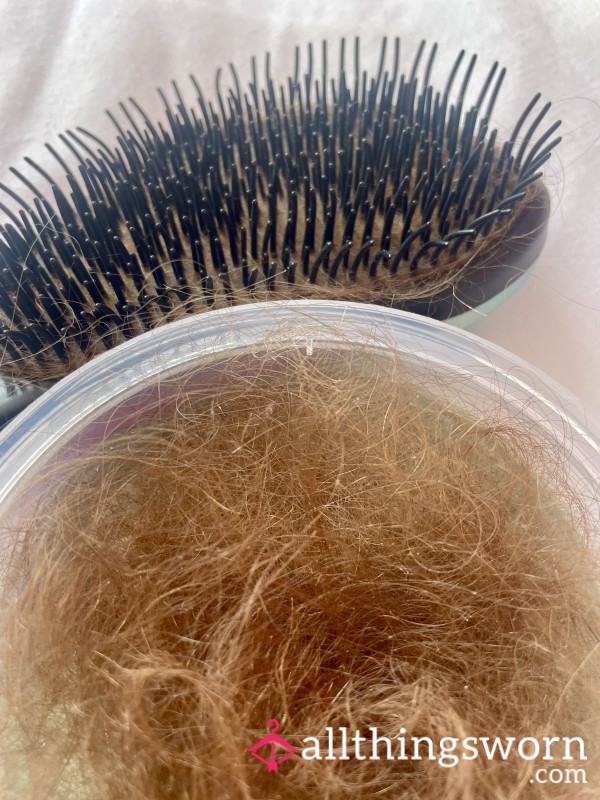 Hair Brush And Pot Of Hair