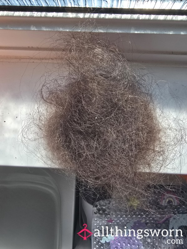 Hair Brush Clean Out
