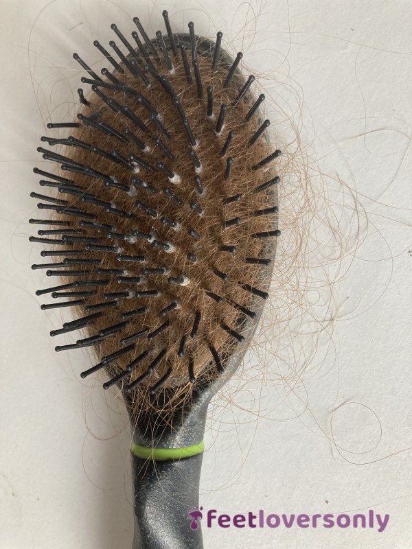 Hair Brush Filled With Ginger Locks