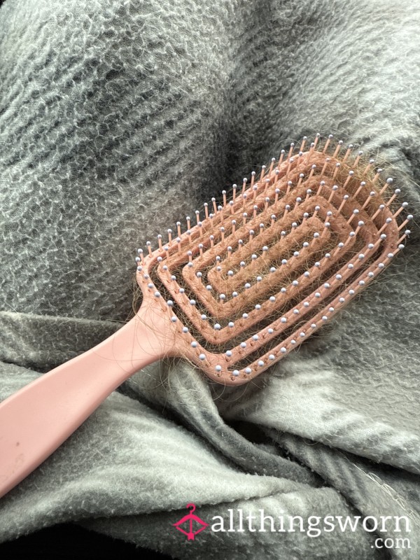 Hair Brush Filled With Hair