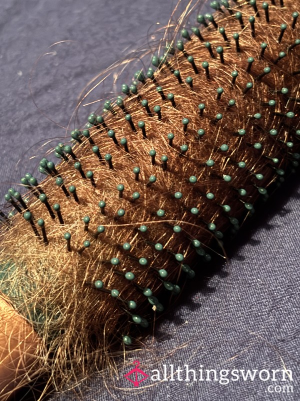 Hair Brush Full Of Brunette Hair