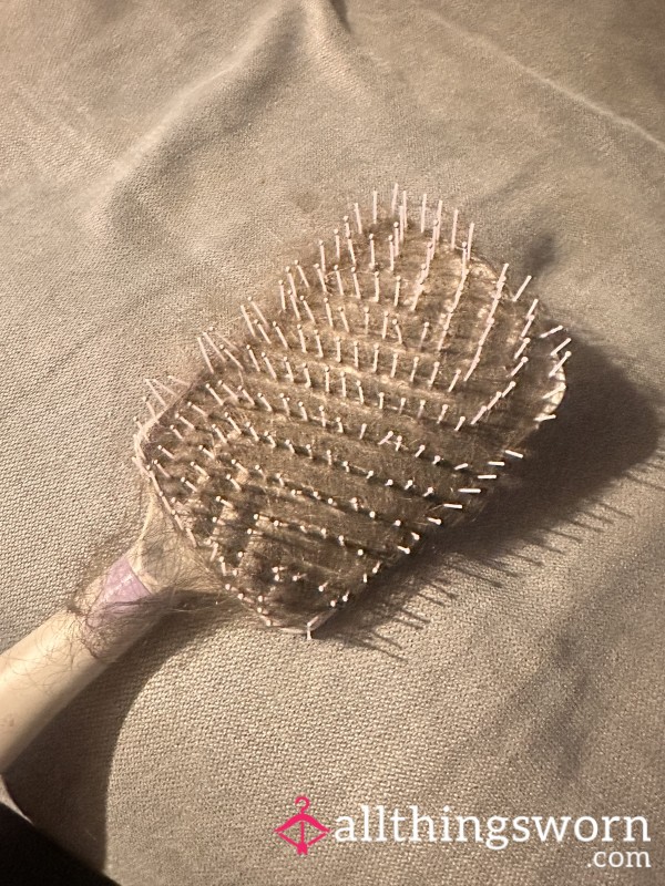 Hair Brush Full Of Hair