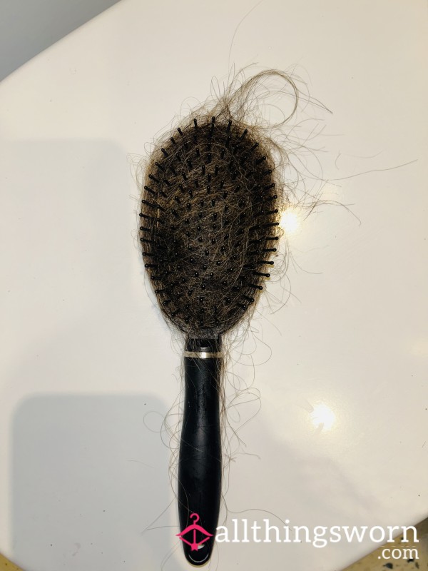 Hair Brush Full Of Hair