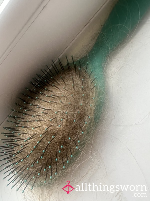 Hair Brush & Hair