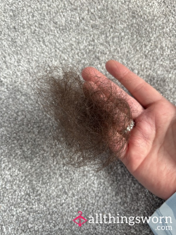 Hair Brush Hair