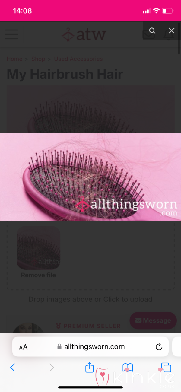Hair Brush Hair