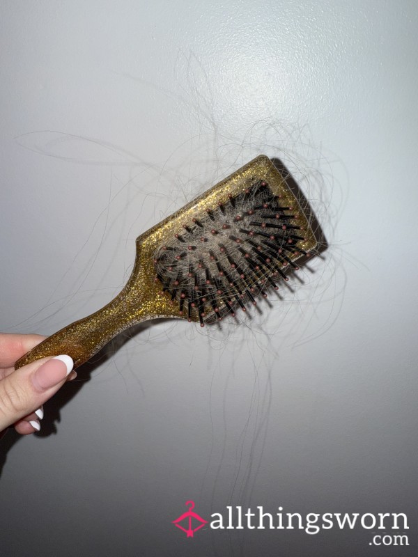 Hair Brush With Hair