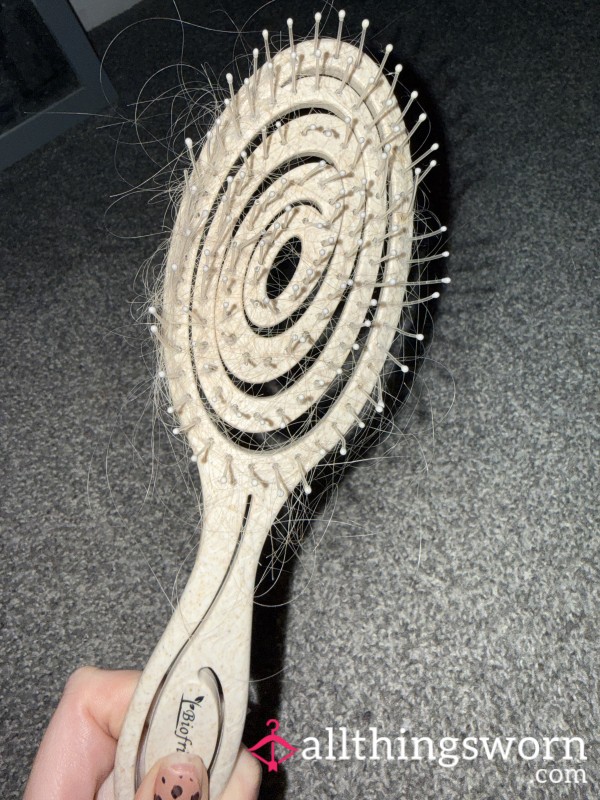 Hair Brush With Hair