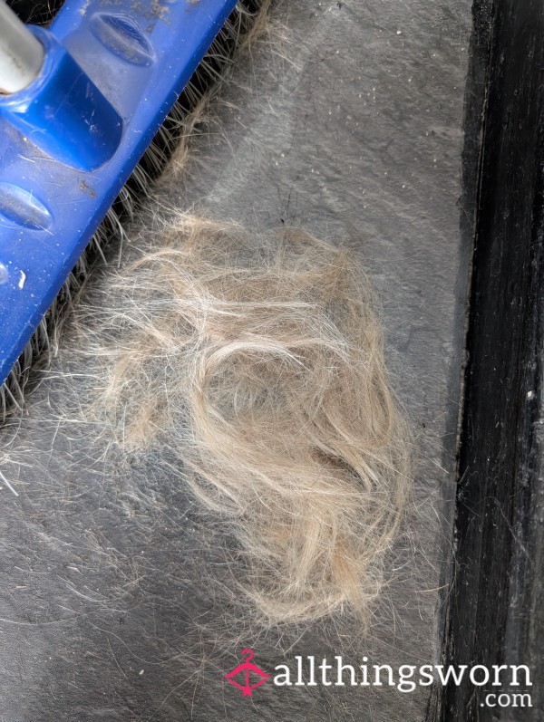Hair Cuttings