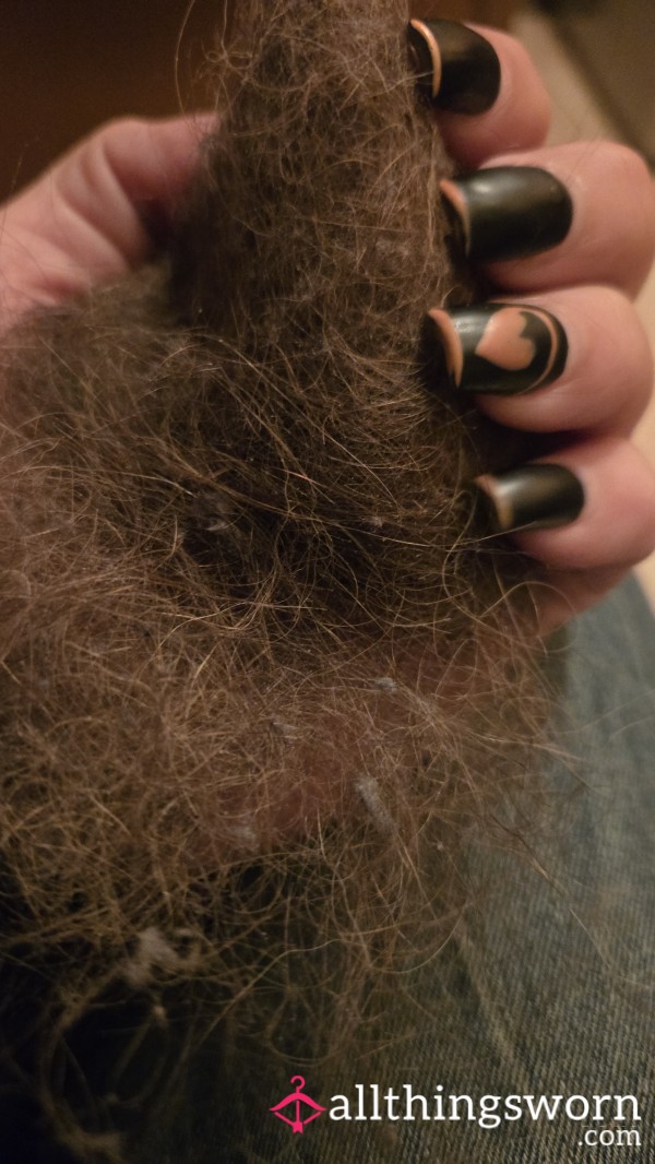Hair From Brush