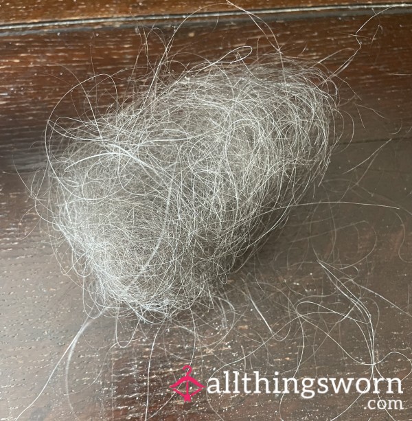 Hair From Hair Brush