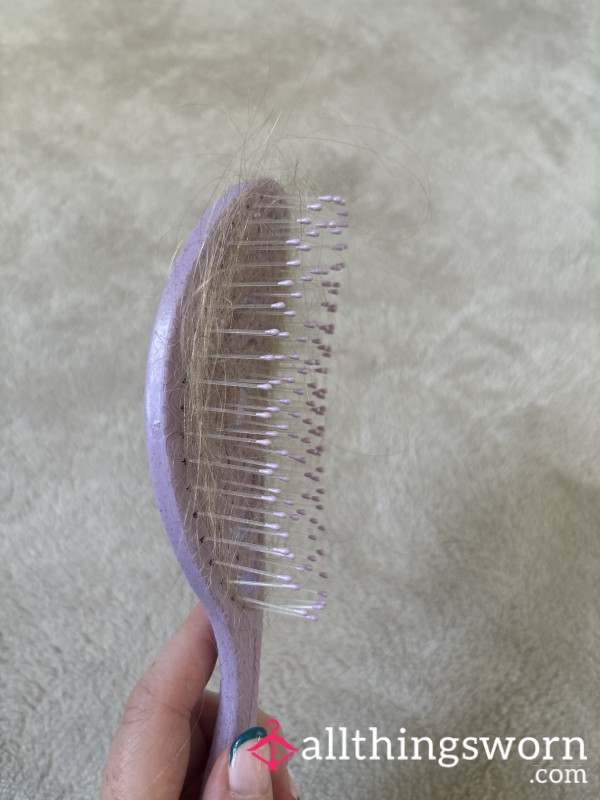 Hair From Hair Brush