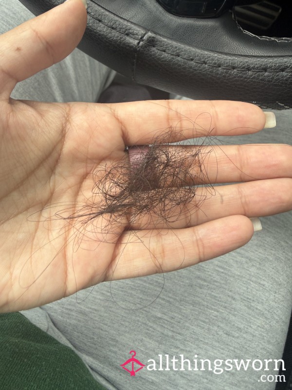 Hair From Hairbrush