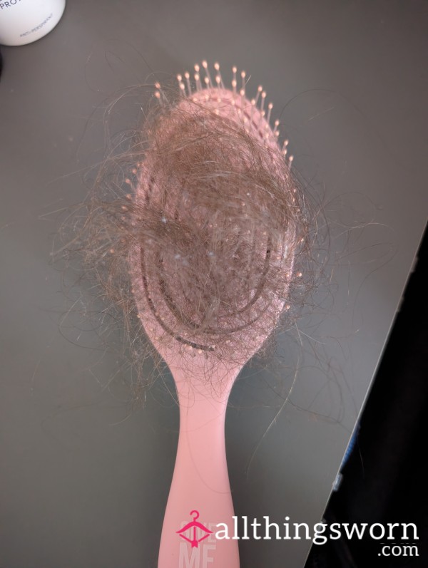 Hair From Hairbrush