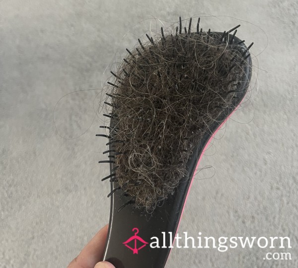 ✨ Well Used Hairbrush ✨