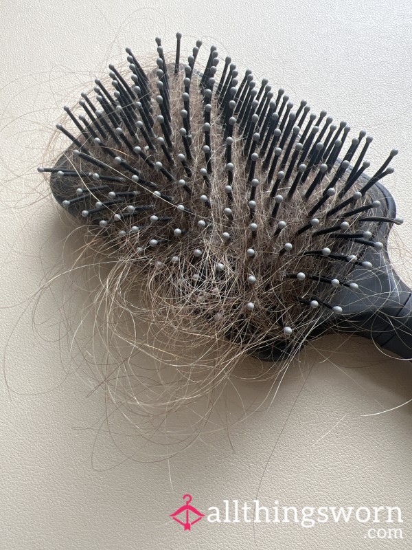 Hair From Hairbrush