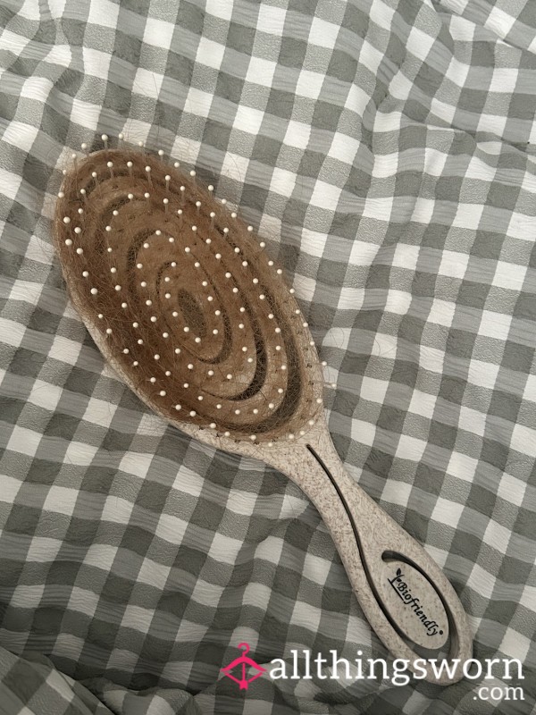 Hair From Hairbrush